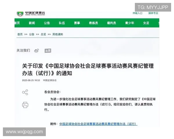 足协新规影响民间赛事发展呼吁保护草根足球生存空间