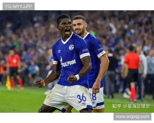 霍芬海姆1899俱乐部的崛起与挑战：德国足球的隐形巨星之路