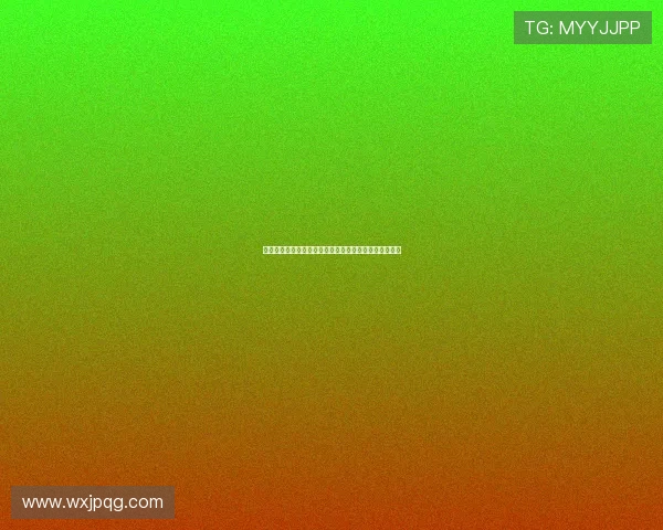 拜耳勒沃库森崛起之路探秘从无冕之王到欧洲足坛新传奇