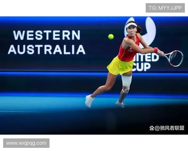 网球界风云再起：世界排名前十选手激烈角逐季末总决赛资格