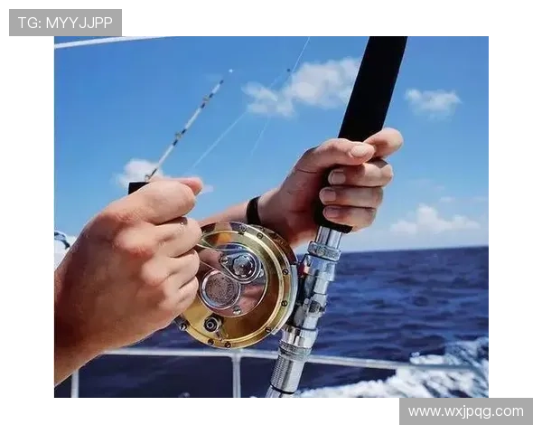 网球赛事积分制度解析与应用技巧